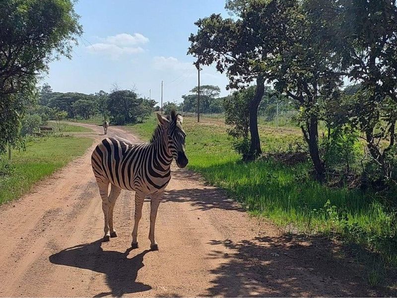Beautiful Large house for sale in the spectacular Leopards Rock Country Estate - Photo 6