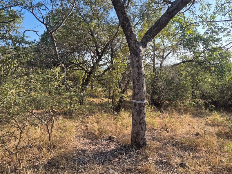 New to the market,an elevated plot in Elephant Rock Eco Estate. Excellent buy !! - Photo 9