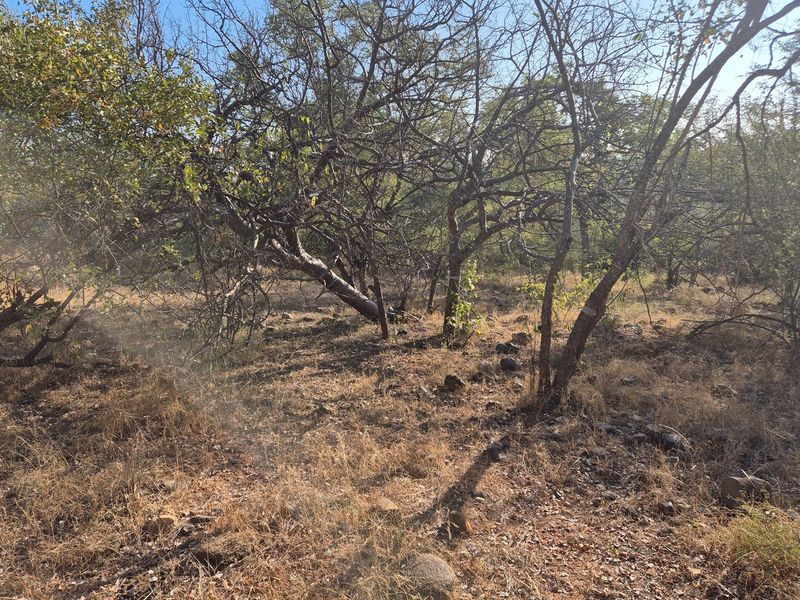 New to the market,an elevated plot in Elephant Rock Eco Estate. Excellent buy !! - Photo 6