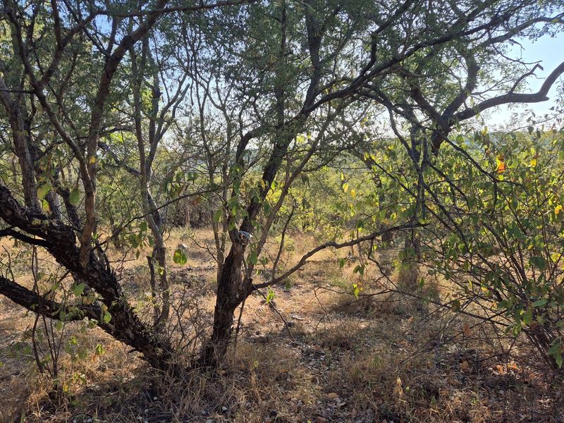 New to the market,an elevated plot in Elephant Rock Eco Estate. Excellent buy !! - Photo 7