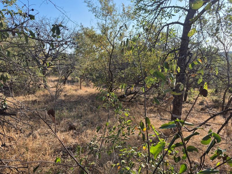 New to the market,an elevated plot in Elephant Rock Eco Estate. Excellent buy !! - Photo 5