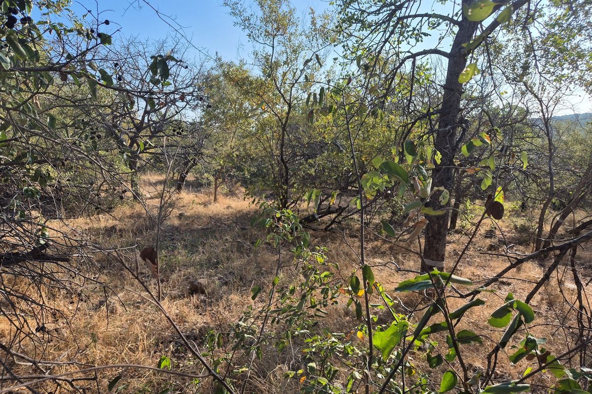 New to the market,an elevated plot in Elephant Rock Eco Estate. Excellent buy !! - Photo 5