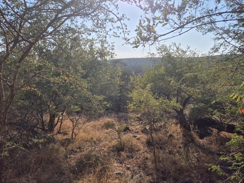 New to the market,an elevated plot in Elephant Rock Eco Estate. Excellent buy !! - Photo 10