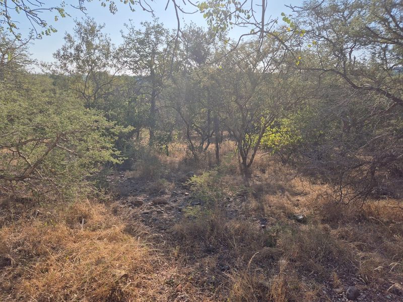 New to the market,an elevated plot in Elephant Rock Eco Estate. Excellent buy !! - Photo 2