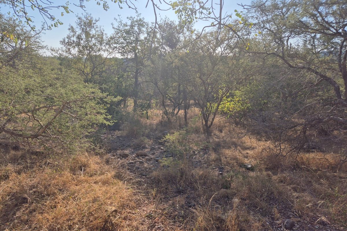 New to the market,an elevated plot in Elephant Rock Eco Estate. Excellent buy !! - Photo 2