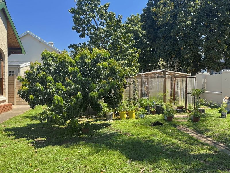A rear garden area featuring a lawn, mature trees, and a small greenhouse structure adjacent to the house exterior.