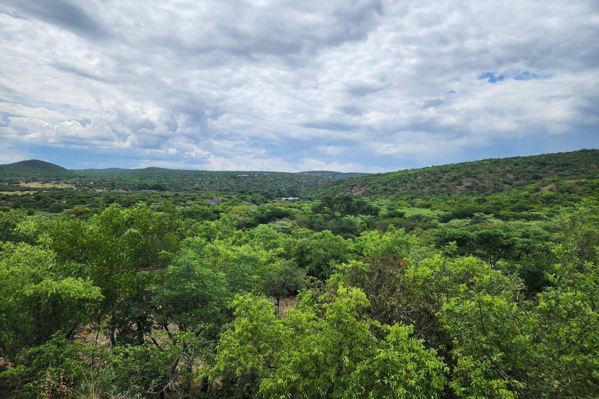 Intaba-Indle - South Africa - Six bedroom thatch lodge in private game reserve - Photo 2