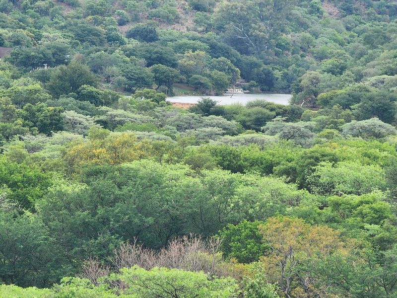 Intaba-Indle - South Africa - Six bedroom thatch lodge in private game reserve - Photo 3