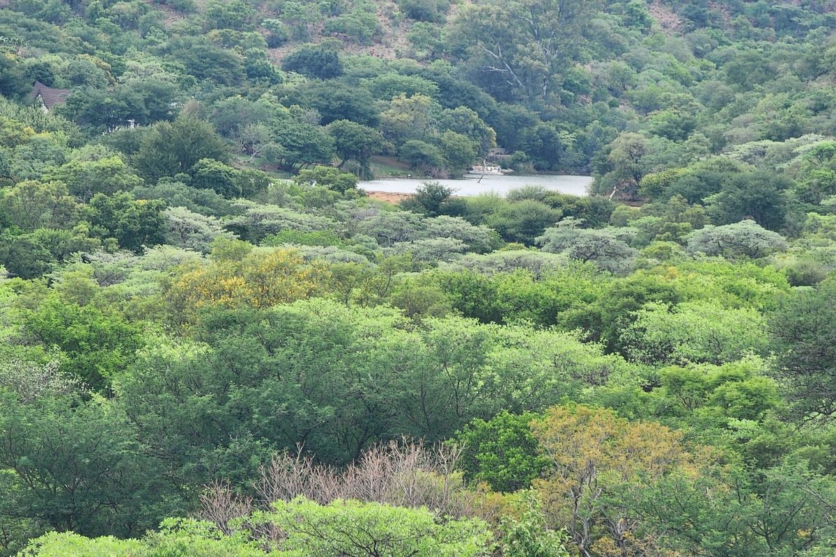 Intaba-Indle - South Africa - Six bedroom thatch lodge in private game reserve - Photo 3