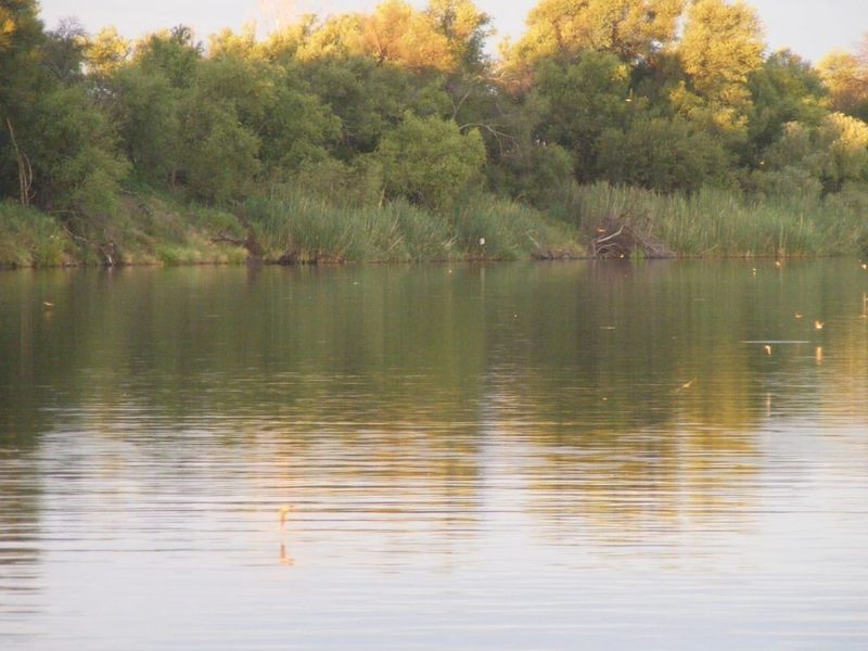 Riverside Retreat in Bosveld Park - Photo 6