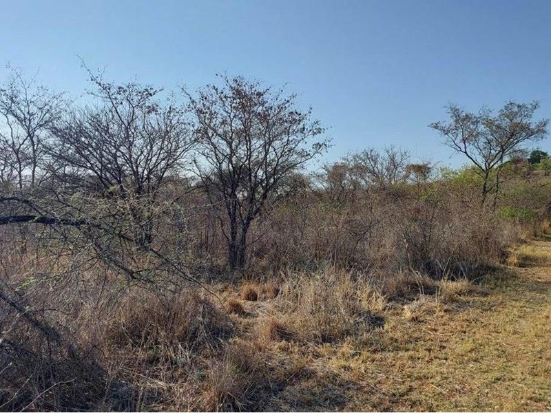 Vacant land with endless possibilities - Photo 2