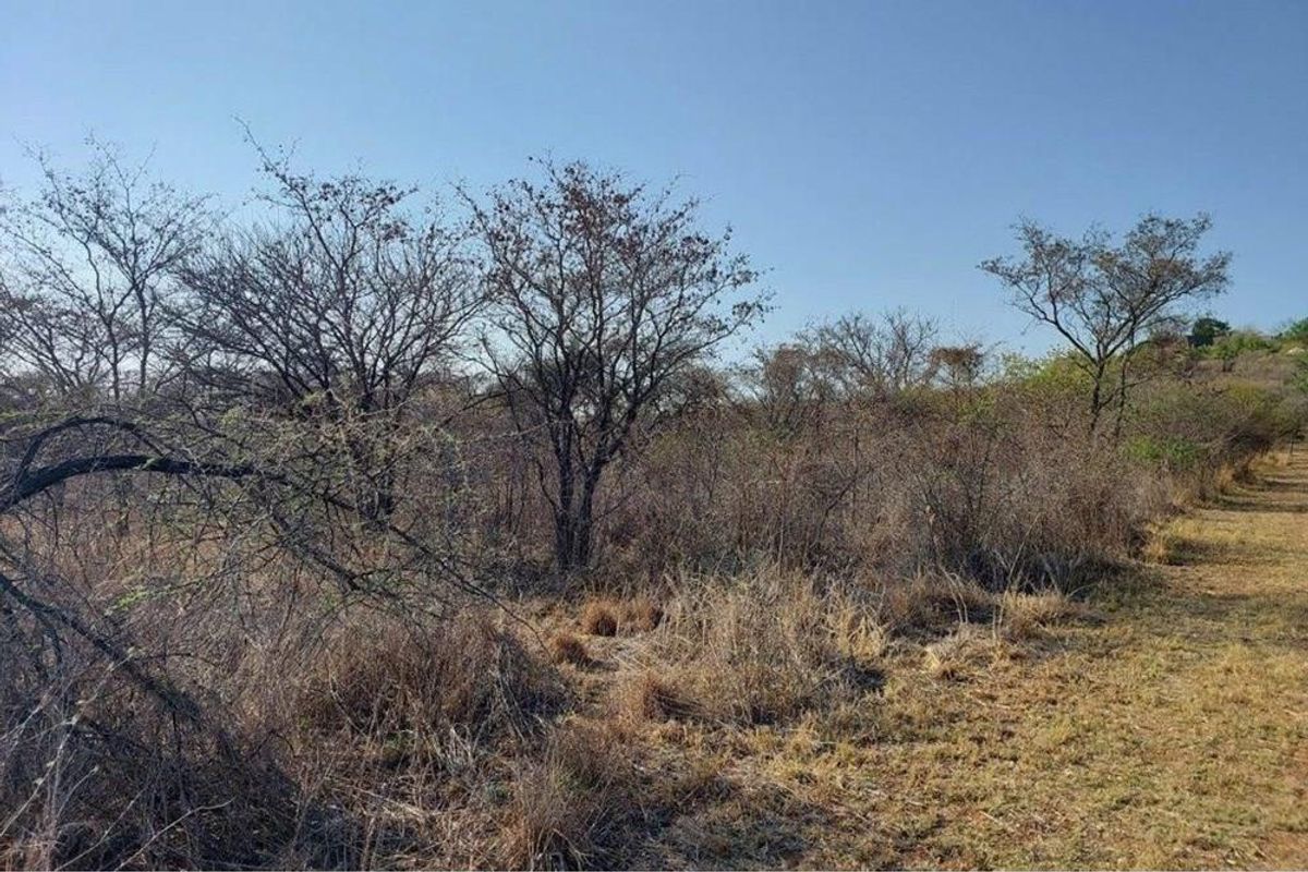 Vacant land with endless possibilities - Photo 2