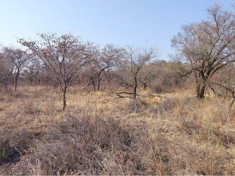 Vacant land with endless possibilities - Photo 4