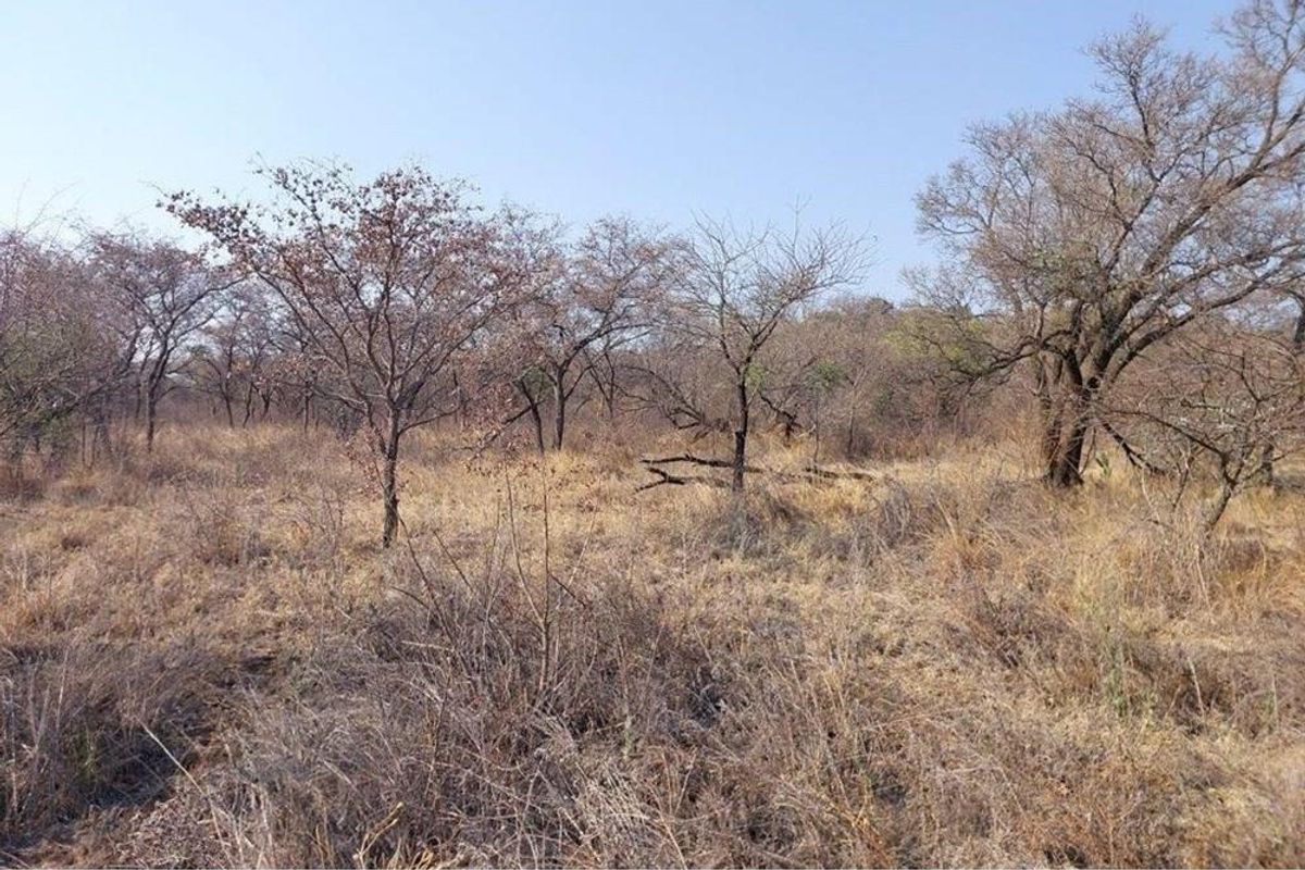 Vacant land with endless possibilities - Photo 4