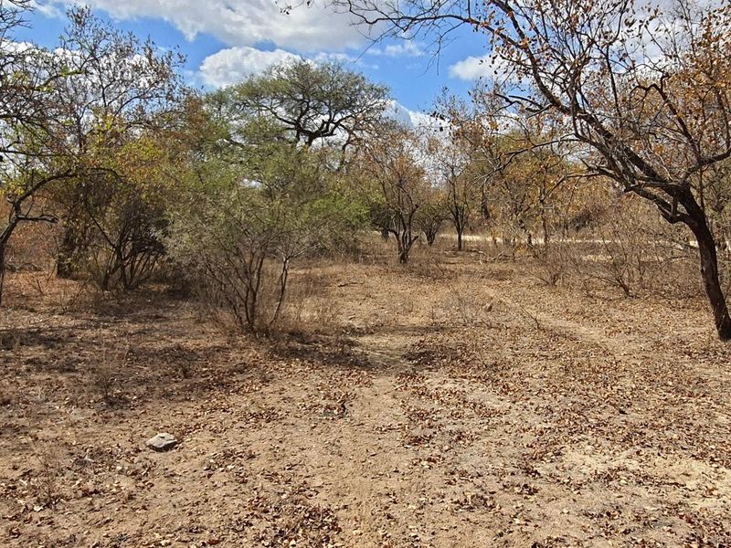 Corner stand available in Rapters View Wildlife Estate for plot and plan option - Photo 8