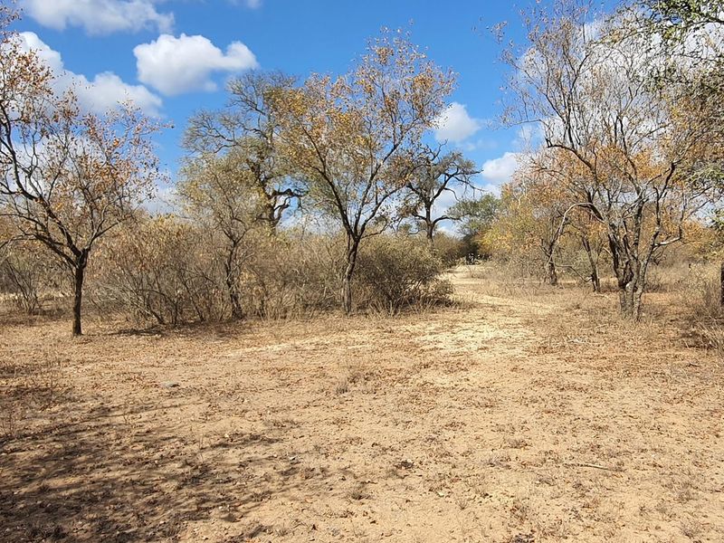 Corner stand available in Rapters View Wildlife Estate for plot and plan option - Photo 7