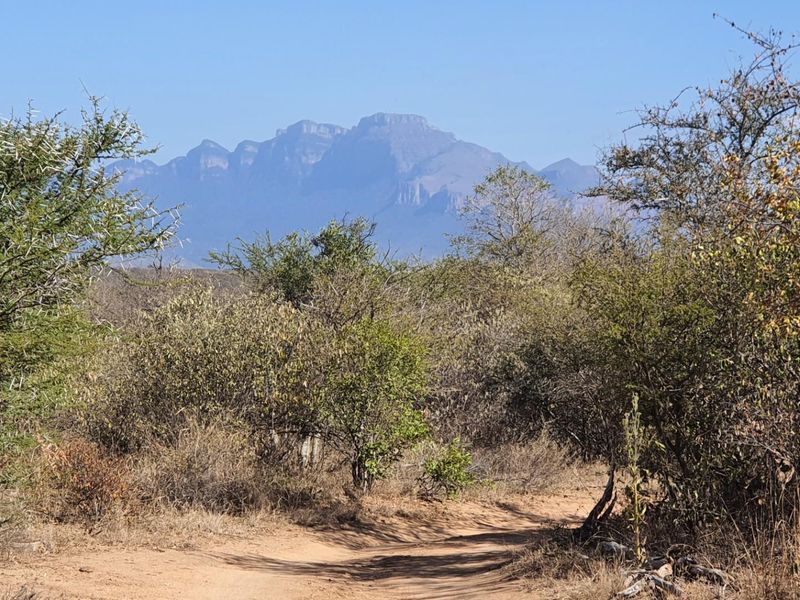 Corner stand available in Rapters View Wildlife Estate for plot and plan option - Photo 1