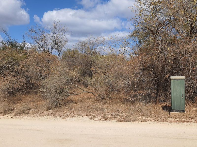 Corner stand available in Rapters View Wildlife Estate for plot and plan option - Photo 10