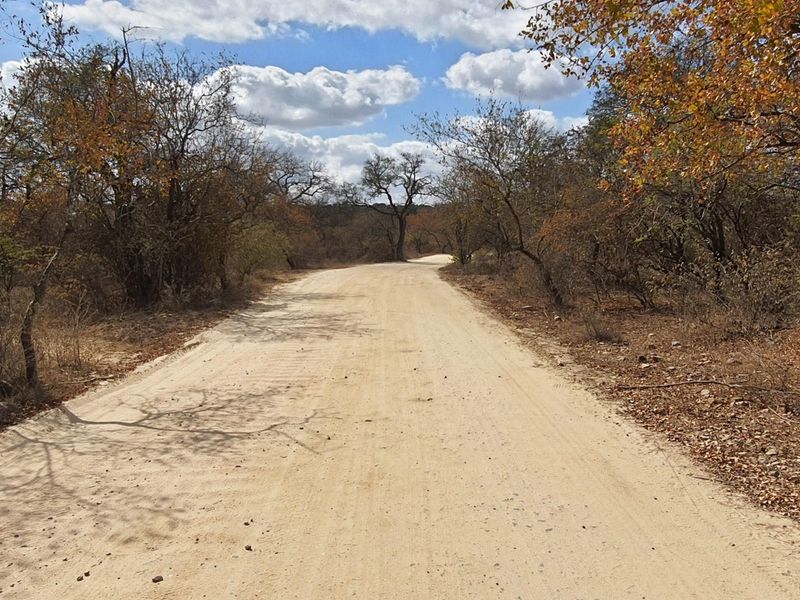 Corner stand available in Rapters View Wildlife Estate for plot and plan option - Photo 9