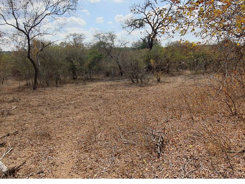 Corner stand available in Rapters View Wildlife Estate for plot and plan option - Photo 5