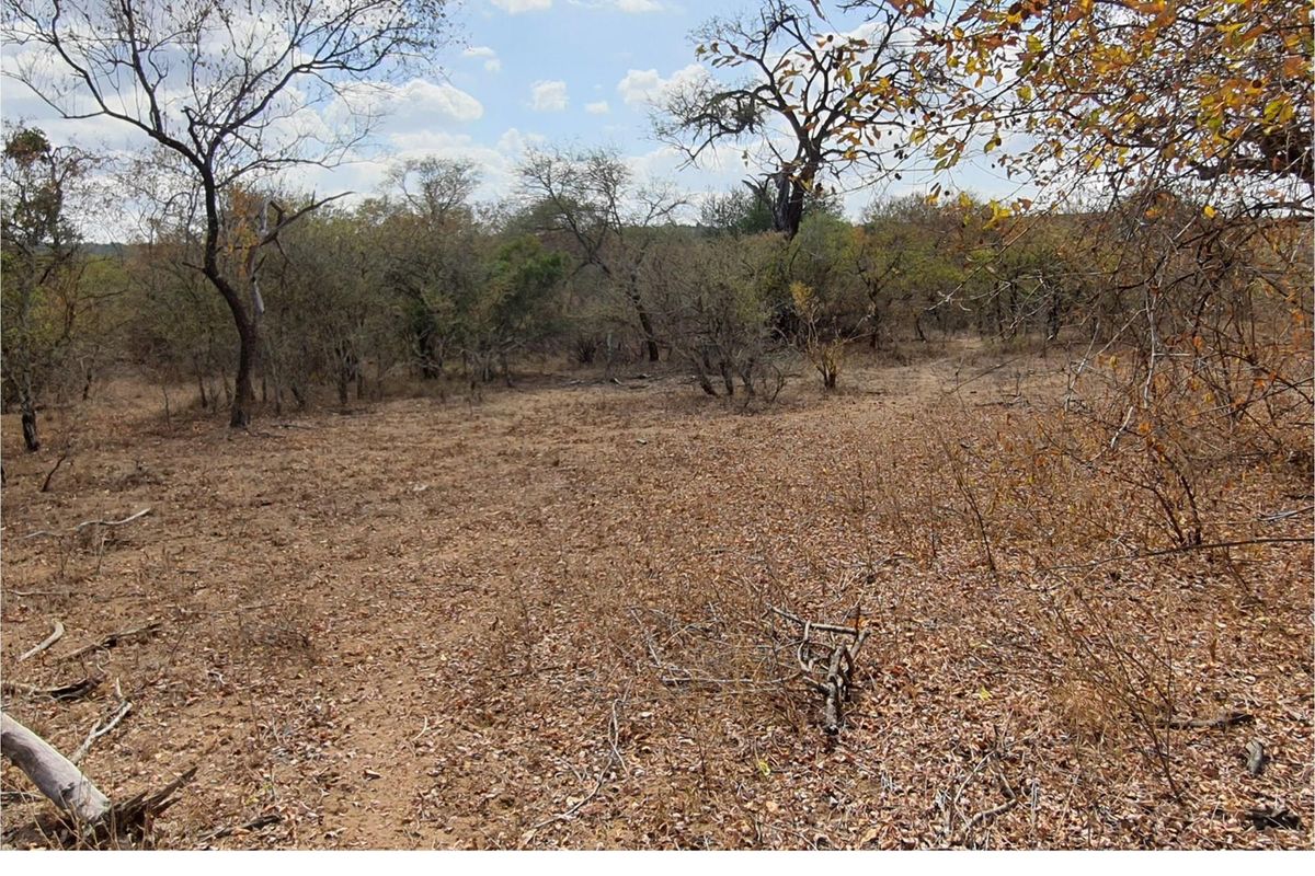 Corner stand available in Rapters View Wildlife Estate for plot and plan option - Photo 5
