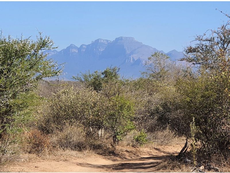 Corner stand available in Rapters View Wildlife Estate for plot and plan option - Photo 4