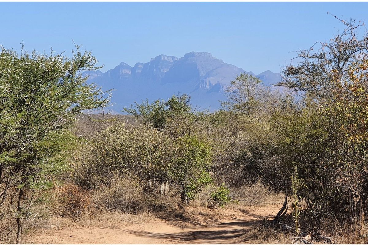 Corner stand available in Rapters View Wildlife Estate for plot and plan option - Photo 4
