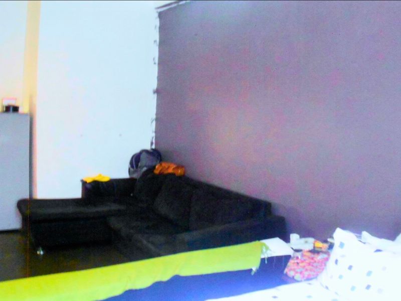 Urban Oasis: Modern 1-Bed in Maboneng - Photo 4