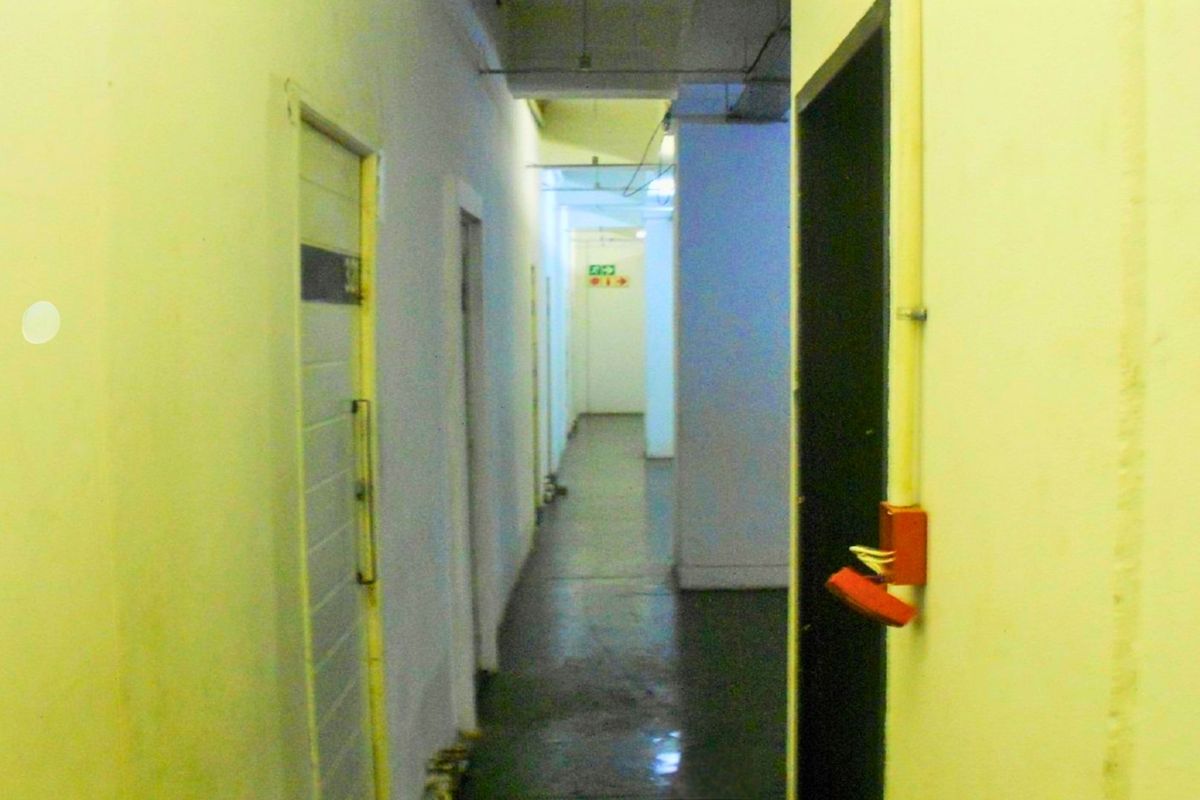 A narrow, utilitarian apartment hallway featuring exposed electrical conduit, basic flush panel doors, and dated wall finishes.