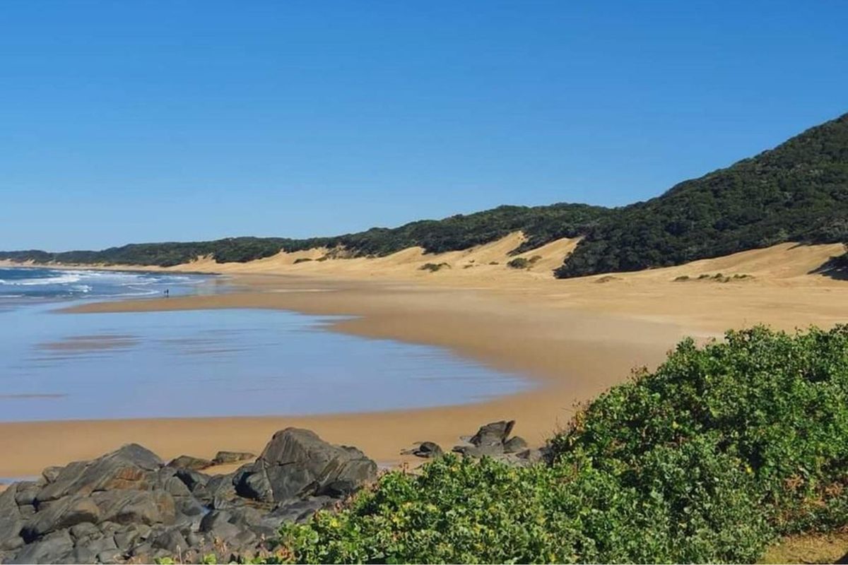 A scenic view of the pristine coastline featuring sandy beaches, natural dunes, and ocean waves, highlighting the natural beauty of the vacant land location.