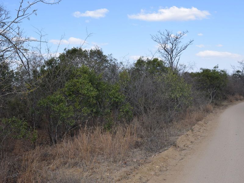 Southern  stand in lower Moditlo Wildlife Estate - Moria Farm, no noise, Big 4 and watering spots. - Photo 7