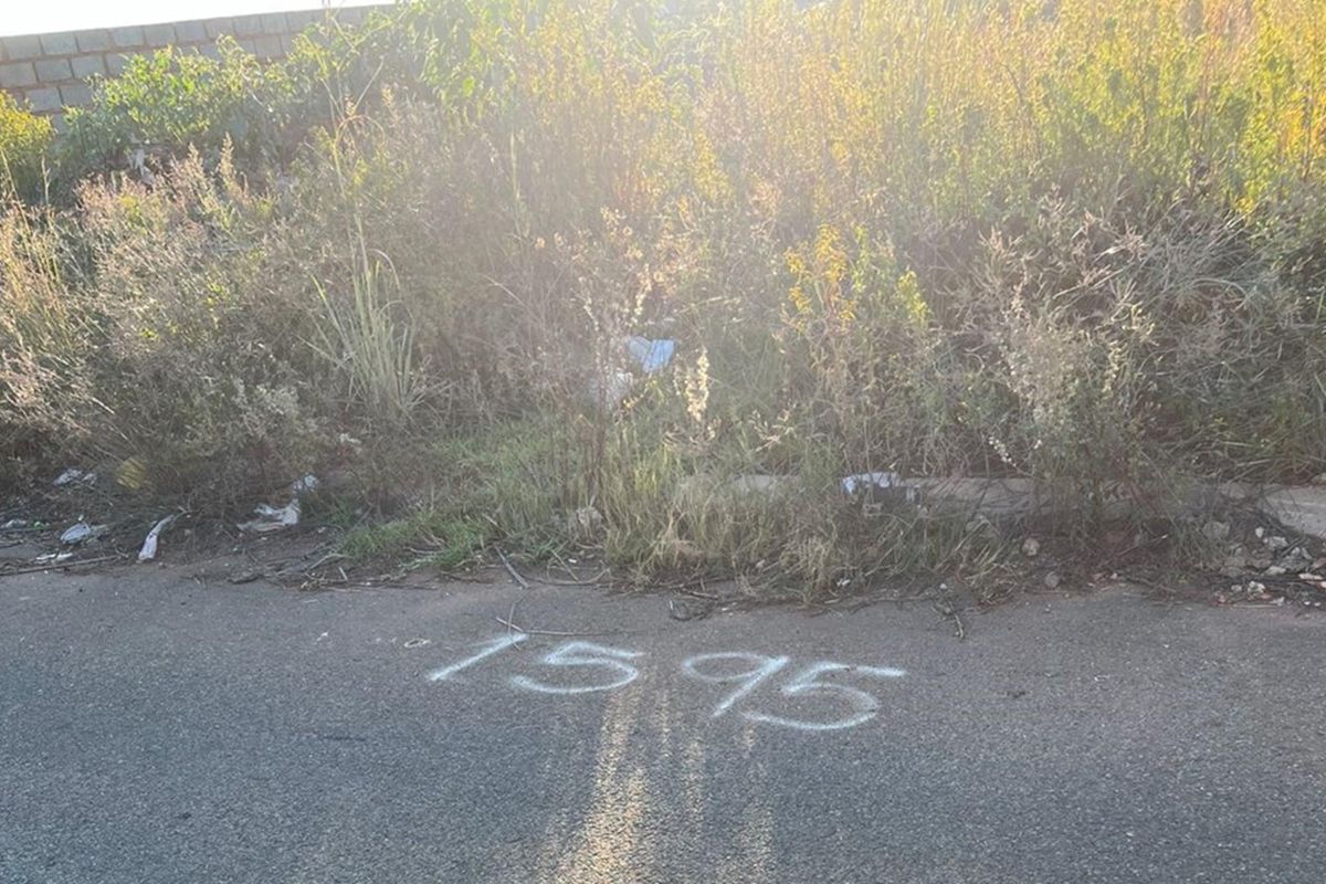 Street level view of the vacant residential plot, showing the road frontage, curb, and overgrown vegetation on the property boundary.