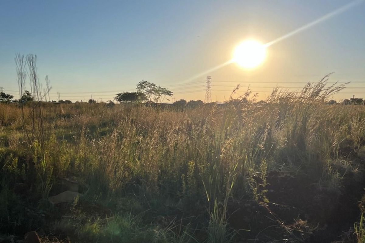 A view of an undeveloped residential land plot featuring natural grass and vegetation under a bright sunset sky.