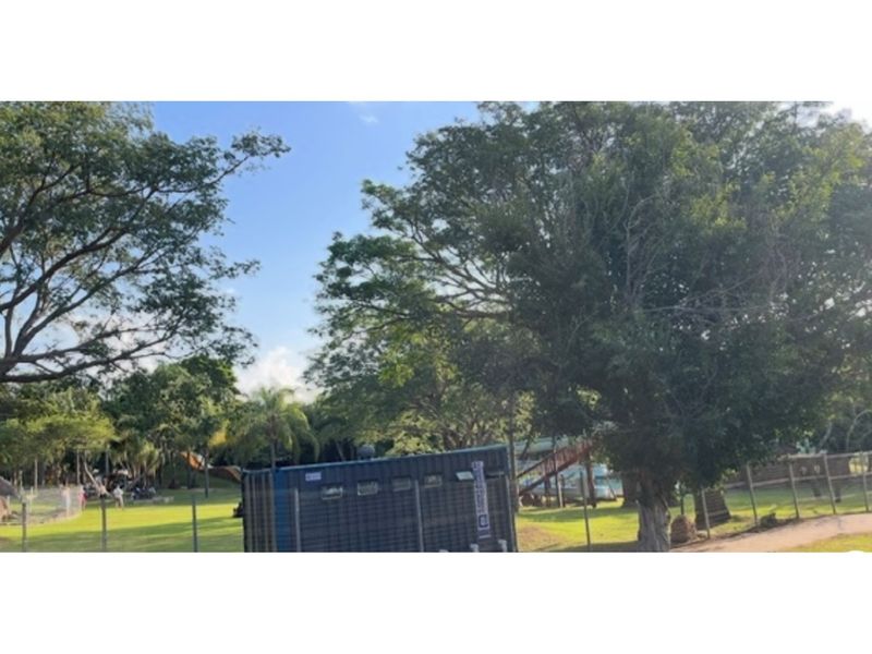 A view of a spacious, tree-lined garden area featuring established trees, green lawn, and perimeter fencing.