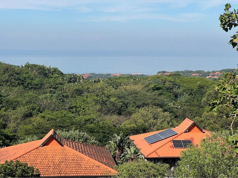 Elevated view overlooking lush coastal greenery and the ocean, featuring residential properties with installed solar panels on tiled roofs.