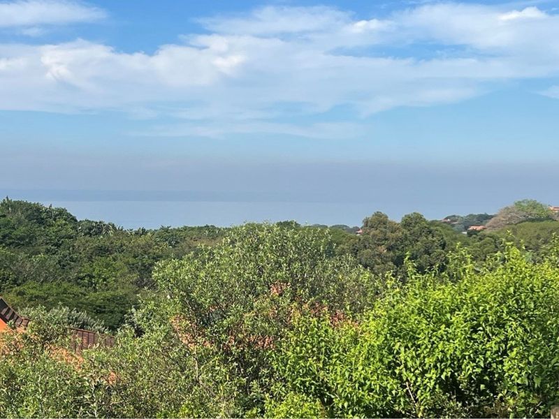 A scenic elevated view overlooking lush green vegetation and trees with a distant horizon line.