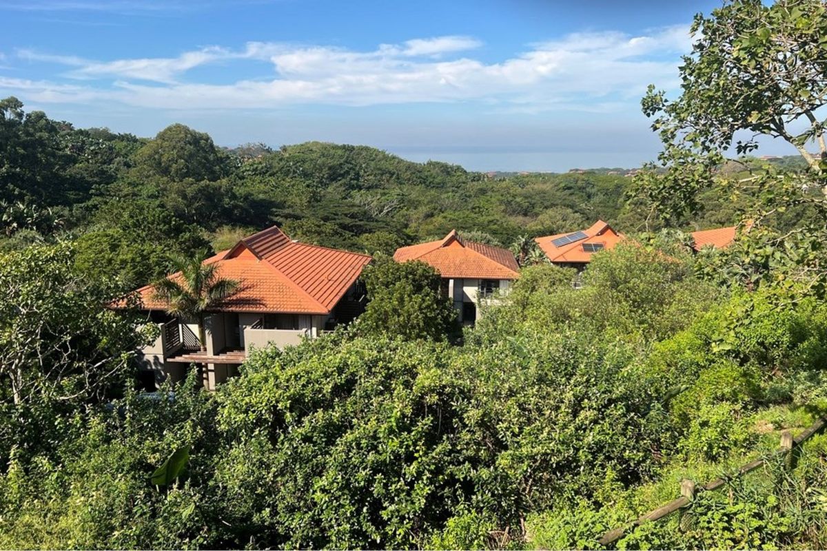 An elevated aerial view of residential properties nestled within a lush, green coastal forest setting, featuring terracotta tiled roofs and solar panels.