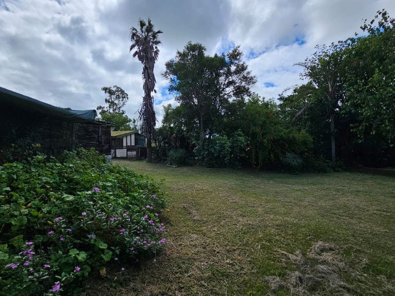 A spacious garden area featuring mature trees and established garden beds, providing a natural outdoor setting for the property.
