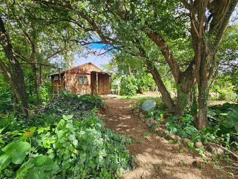 A rustic wooden cabin nestled within a lush, mature garden setting featuring established trees and a natural pathway.