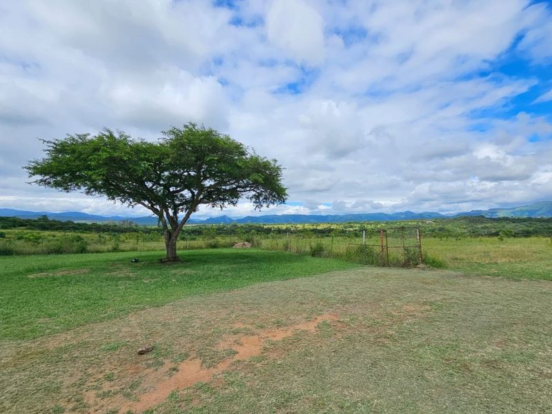 Expansive rural landscape view featuring open grassland, a mature tree, and distant mountain ranges under a cloudy sky.