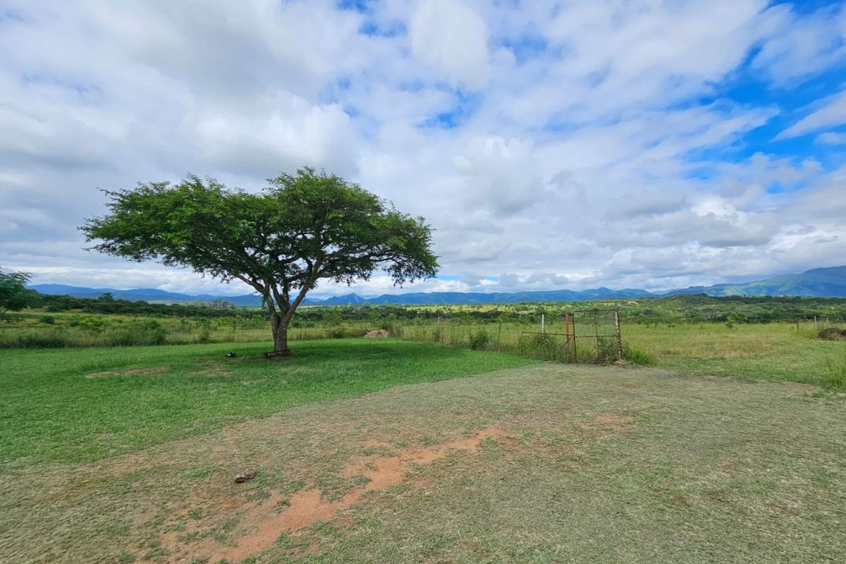 Expansive rural landscape view featuring open grassland, a mature tree, and distant mountain ranges under a cloudy sky.