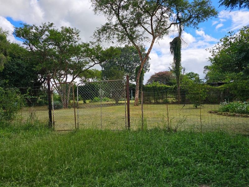 A spacious garden area featuring mature trees, enclosed by wire mesh fencing with a metal gate.