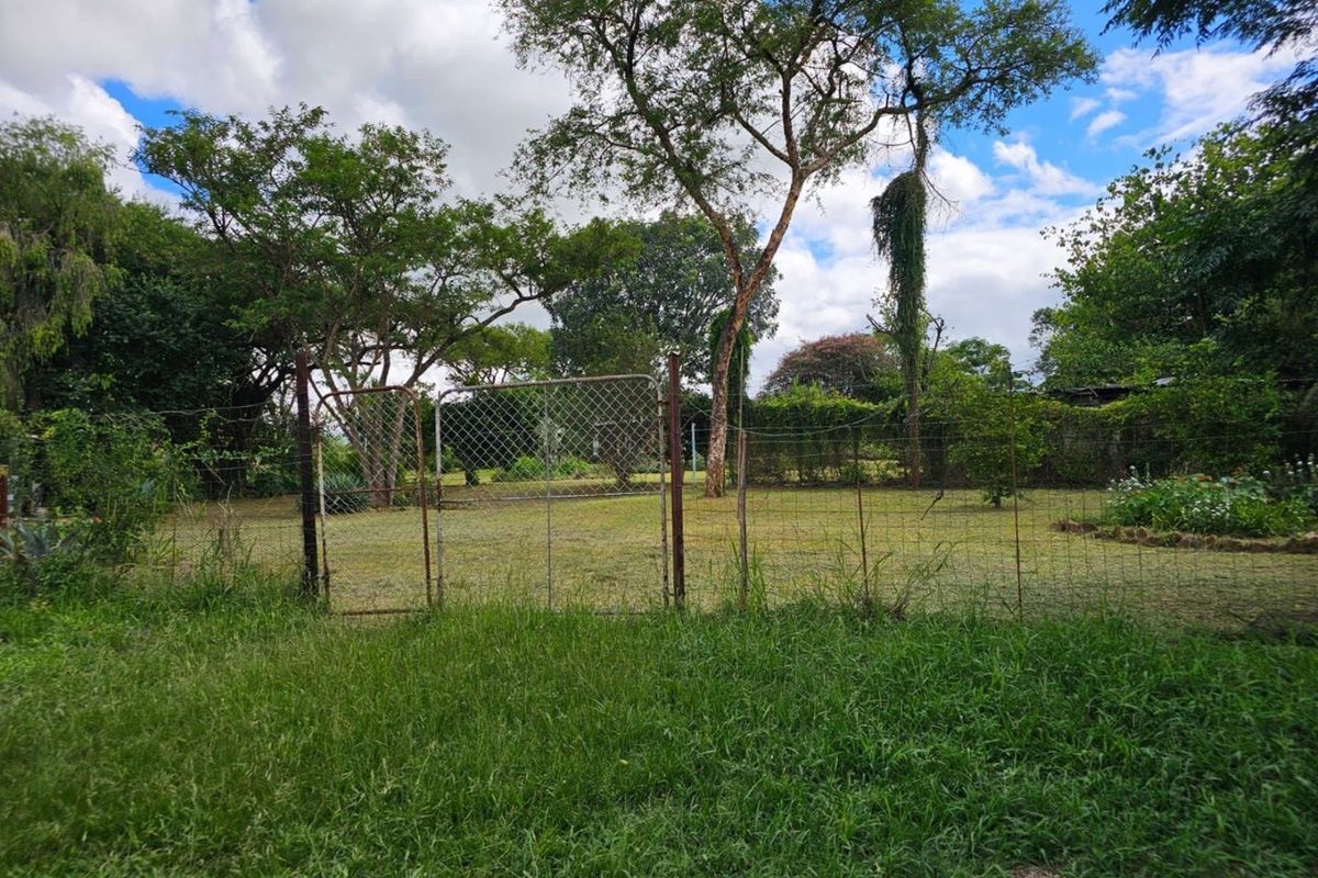 A spacious garden area featuring mature trees, enclosed by wire mesh fencing with a metal gate.
