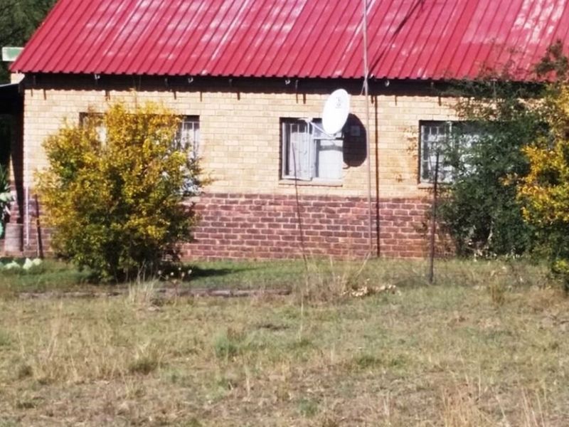 Rustic 74 ha Cattle Farm with 4 Houses, Cullinan - Photo 7