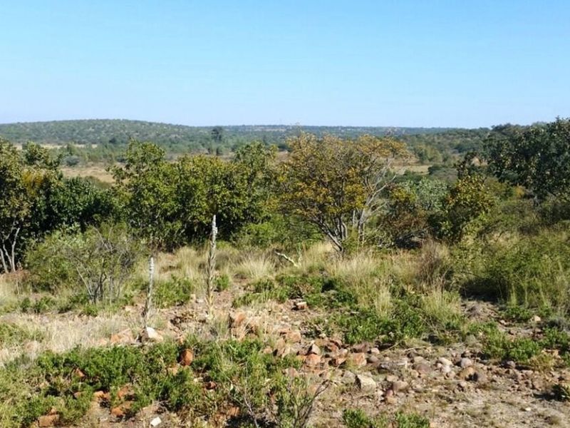 Rustic 74 ha Cattle Farm with 4 Houses, Cullinan - Photo 3