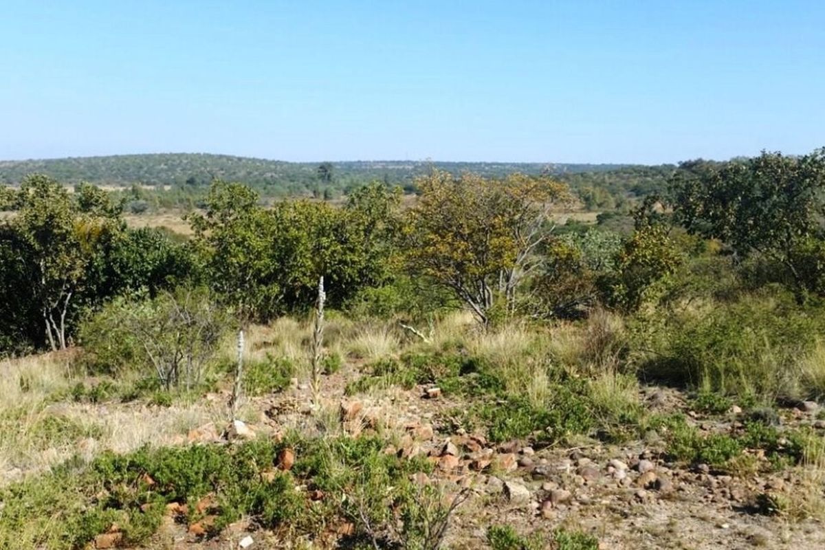 Rustic 74 ha Cattle Farm with 4 Houses, Cullinan - Photo 3