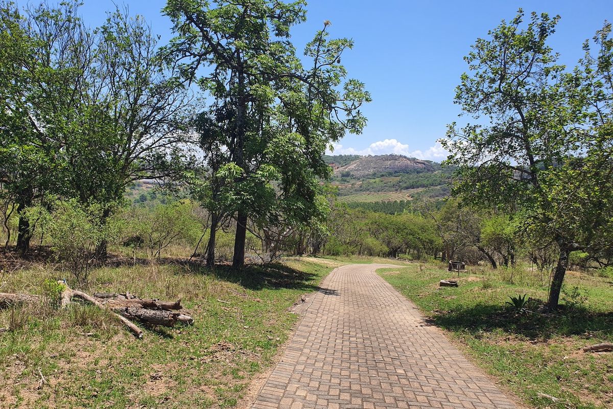 A paved walkway winds through a natural, tree-lined landscape on this vacant residential property, offering scenic views of the surrounding hills.