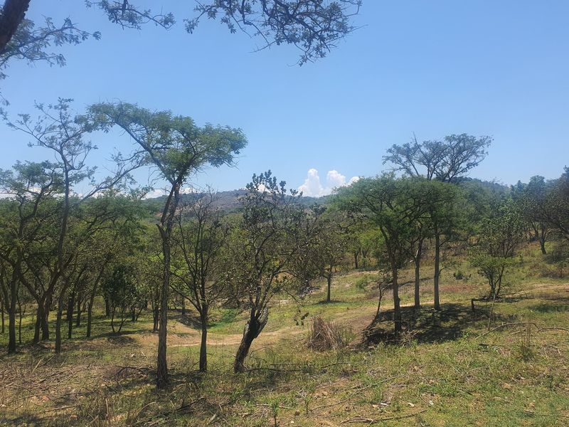 A scenic view of the vacant residential land featuring natural vegetation, mature trees, and rolling terrain under a clear blue sky.