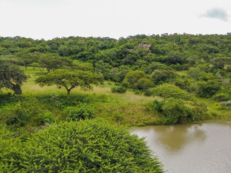 A scenic view of the vacant residential land featuring natural vegetation, mature trees, and a small pond.