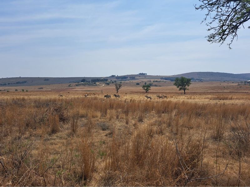 For Sale Vacant Land in Exclusive Letamo Game Farm - Cradle of Humankind situated near Krugersdorp - Photo 10